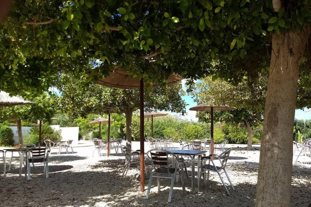 Beachfront Apt! Ac - Pool - Parking Διαμέρισμα Αλτέα Εξωτερικό φωτογραφία